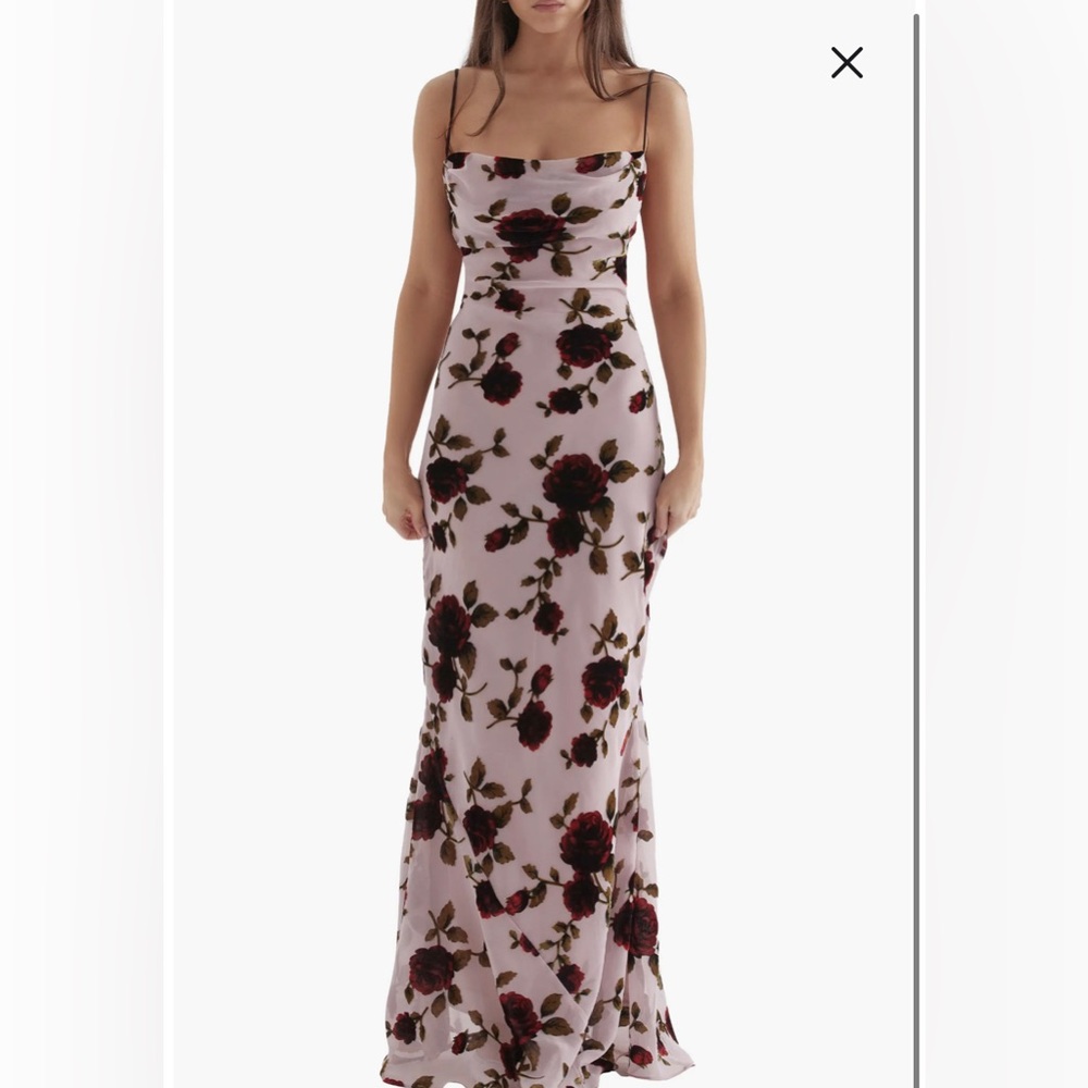 House of CB Serena Floral Burnout Maxi Dress (size small)